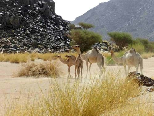 NORTHERN SUDAN