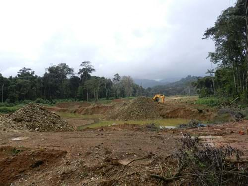 LELY MOUNTAINS, SURINAME