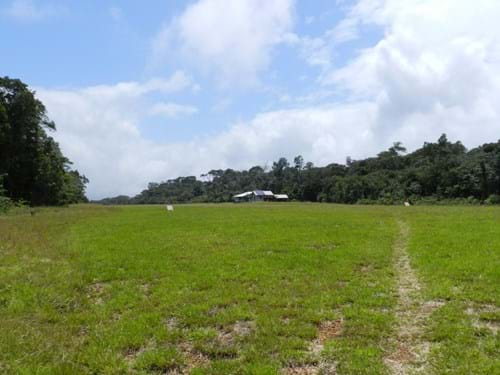 LELY MOUNTAINS, SURINAME