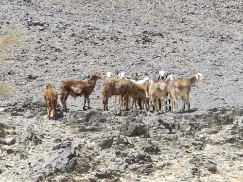 NORTHERN SUDAN