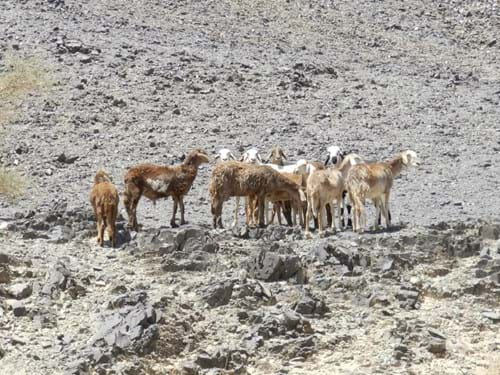 NORTHERN SUDAN