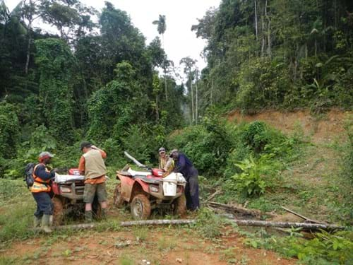 LELY MOUNTAINS, SURINAME